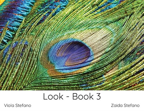 Look - Book 3 (Paperback)
