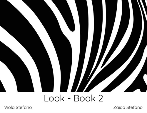 Look - Book 2: VI (Paperback)