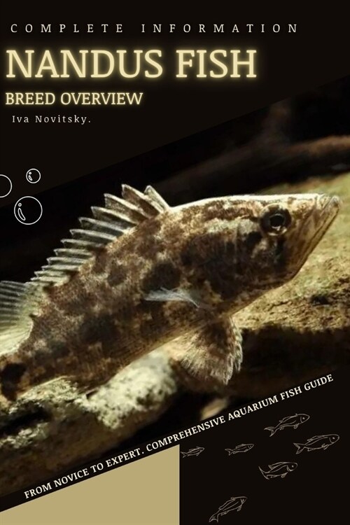 Nandus Fish: From Novice to Expert. Comprehensive Aquarium Fish Guide (Paperback)