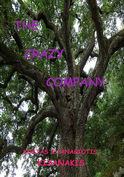 The Crazy Company (Paperback)