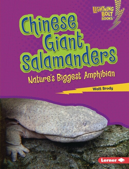 Chinese Giant Salamanders: Natures Biggest Amphibian (Library Binding)