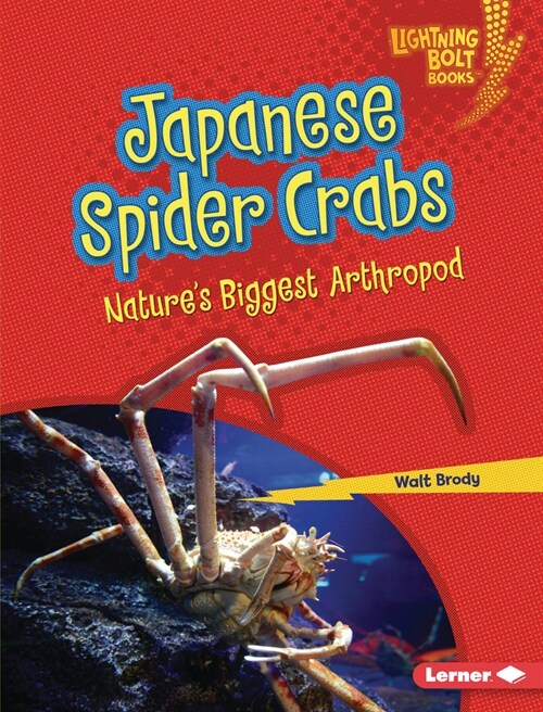Japanese Spider Crabs: Natures Biggest Arthropod (Library Binding)