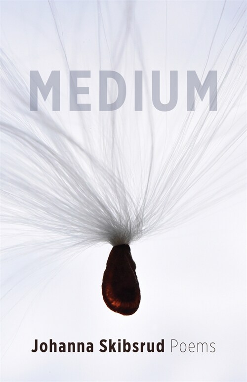 Medium (Paperback)