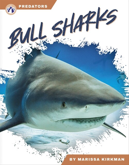 Bull Sharks (Paperback)