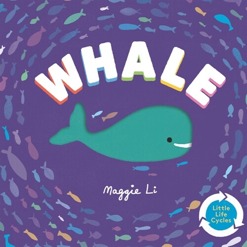 Whale (Board Books)