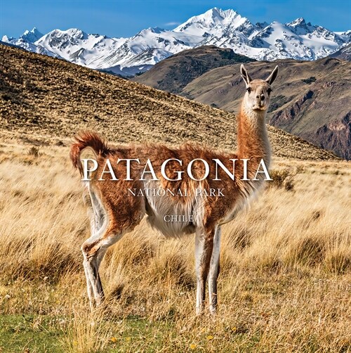 Patagonia National Park: Chile: Chile (Paperback)