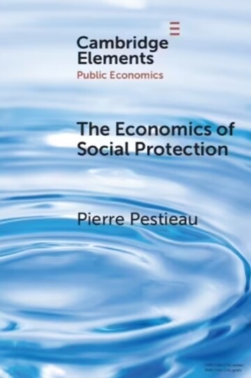 The Economics of Social Protection (Paperback)