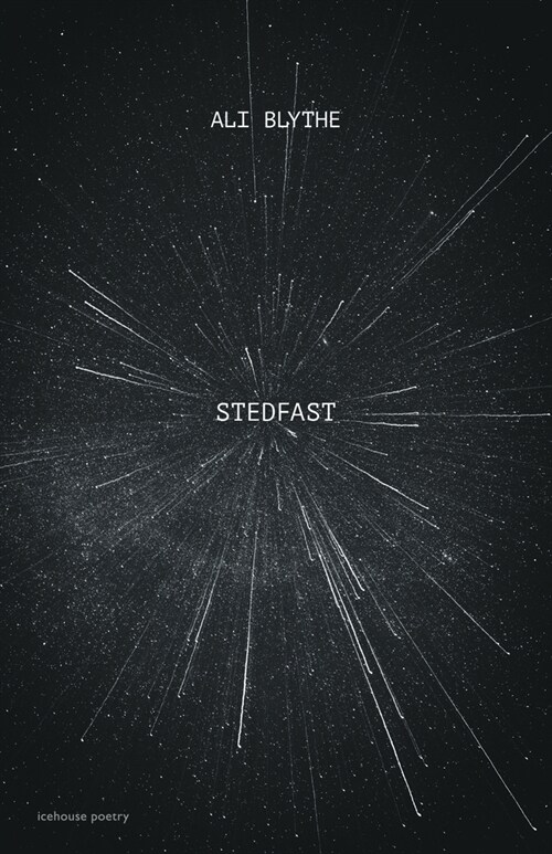 Stedfast (Paperback)