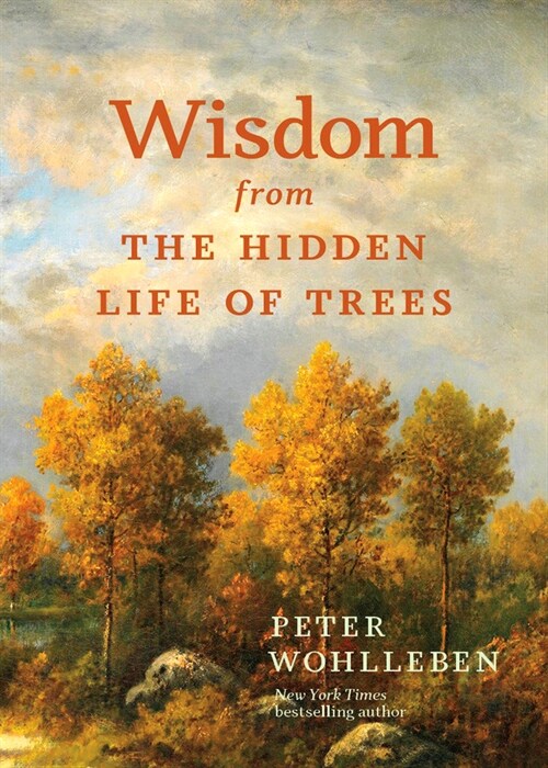 Wisdom from the Hidden Life of Trees (Hardcover)
