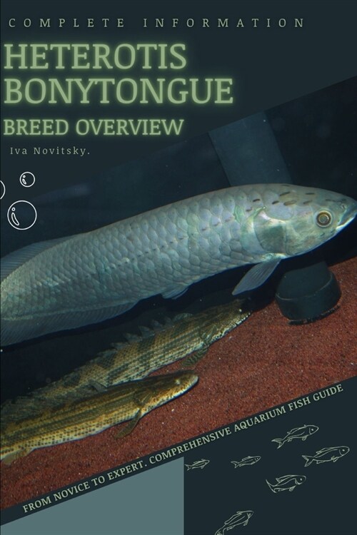 Heterotis bonytongue: From Novice to Expert. Comprehensive Aquarium Fish Guide (Paperback)