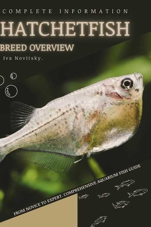 Hatchetfish: From Novice to Expert. Comprehensive Aquarium Fish Guide (Paperback)