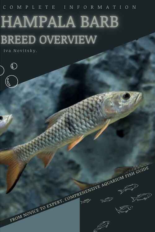 Hampala Barb: From Novice to Expert. Comprehensive Aquarium Fish Guide (Paperback)