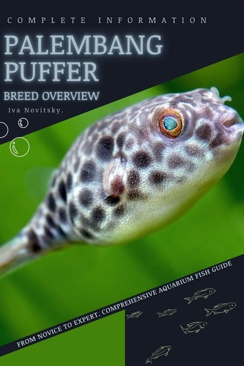 Palembang Puffer: From Novice to Expert. Comprehensive Aquarium Fish Guide (Paperback)