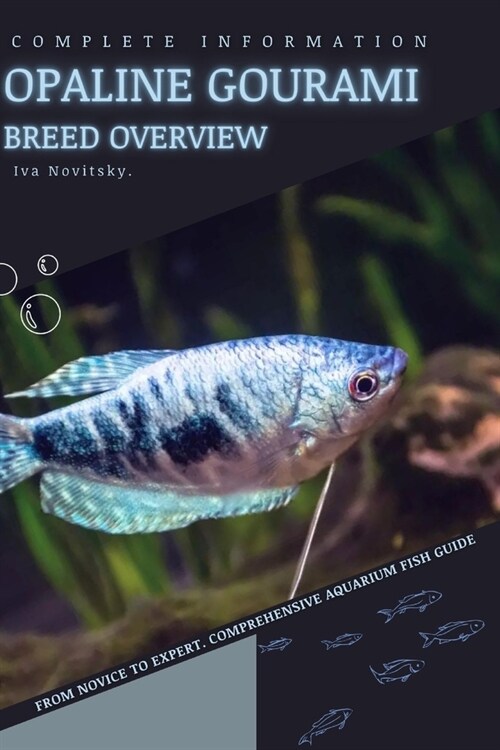 Opaline Gourami: From Novice to Expert. Comprehensive Aquarium Fish Guide (Paperback)