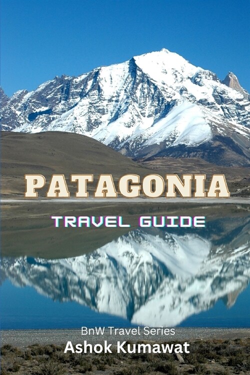 Patagonia Travel Guide (Paperback)