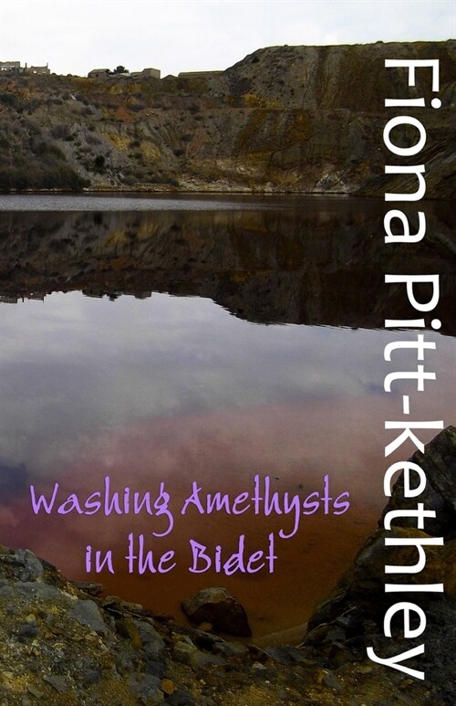 Washing Amethysts in the Bidet (Paperback)