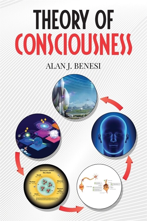 Theory of Consciousness (Paperback)