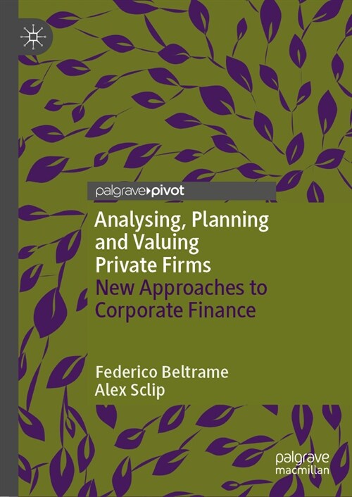 Analysing, Planning and Valuing Private Firms: New Approaches to Corporate Finance (Hardcover, 2023)