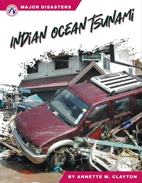 Indian Ocean Tsunami (Library Binding)