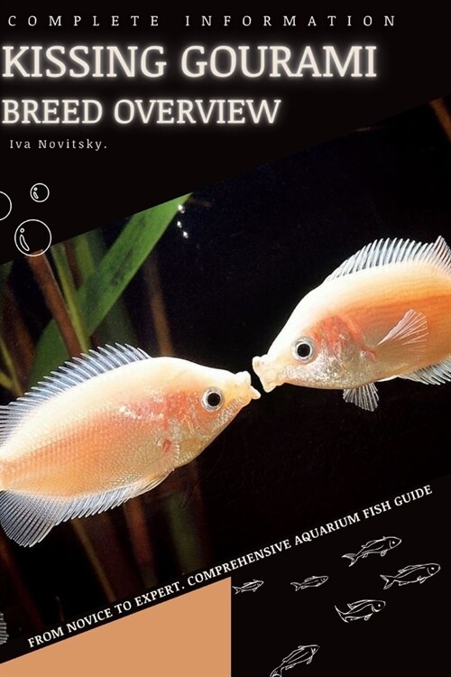 Kissing Gourami: From Novice to Expert. Comprehensive Aquarium Fish Guide (Paperback)