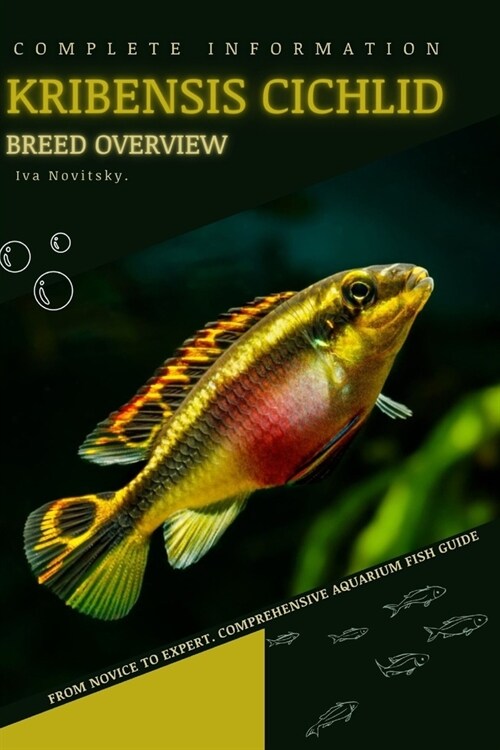 Kribensis Cichlid: From Novice to Expert. Comprehensive Aquarium Fish Guide (Paperback)