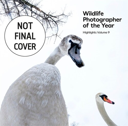 Wildlife Photographer of the Year: Highlights Volume 9 (Paperback)