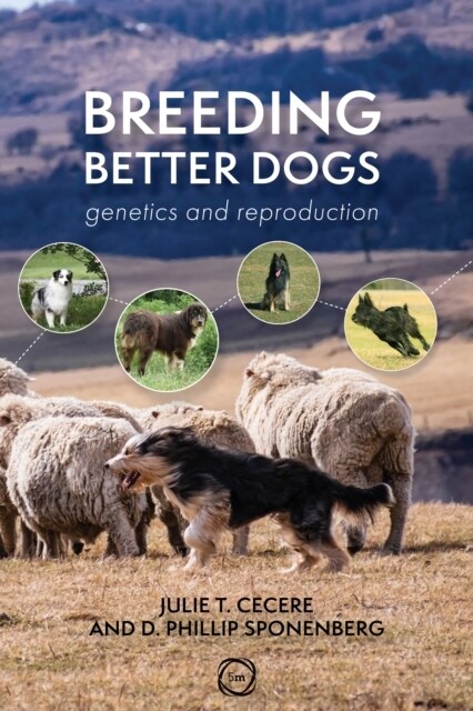 Breeding Better Dogs : Genetics and Reproduction (Paperback)