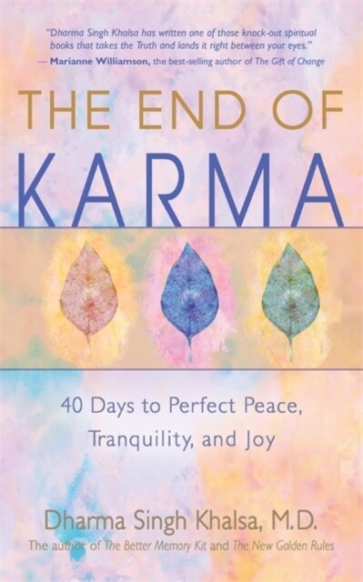 The End of Karma : 40 Days to Perfect Peace, Tranquility, and Joy (Paperback)