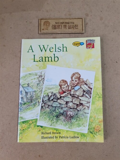 [중고] A Welsh Lamb (Paperback)