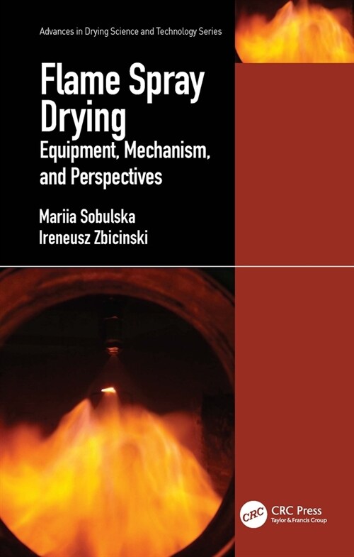 Flame Spray Drying : Equipment, Mechanism, and Perspectives (Paperback)