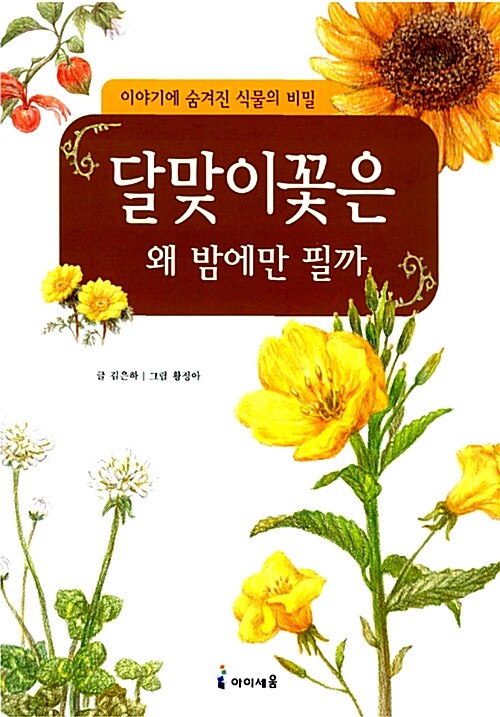 달맞이꽃은 왜 밤에만 필까