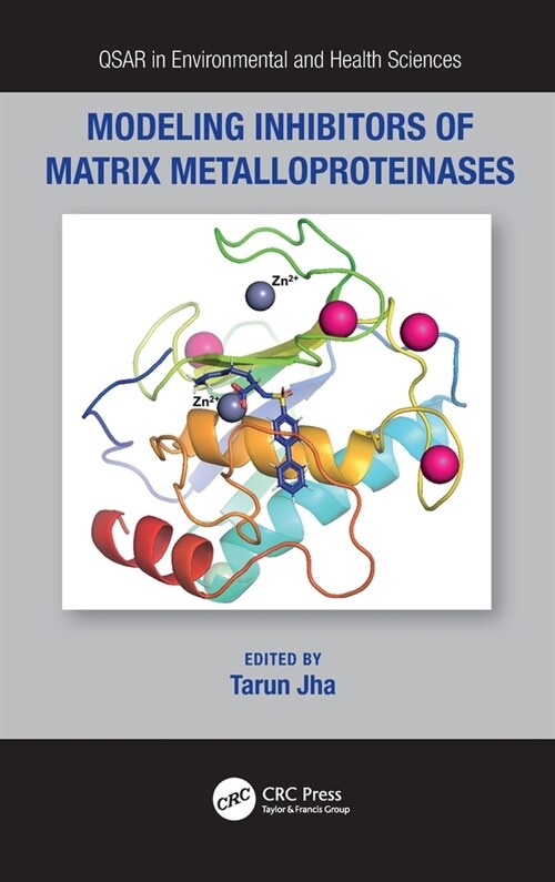 Modeling Inhibitors of Matrix Metalloproteinases (Hardcover, 1)
