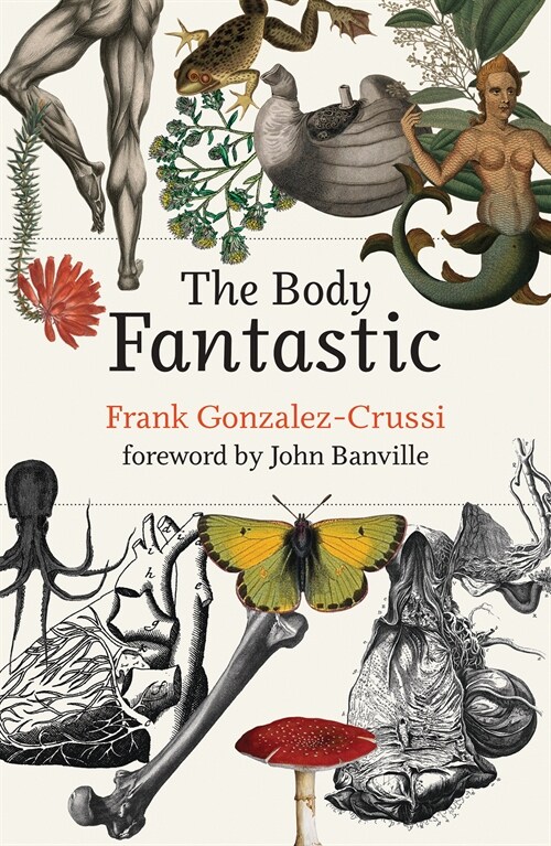 The Body Fantastic (Paperback)