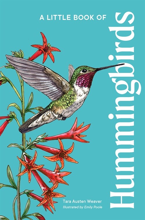 A Little Book of Hummingbirds (Hardcover)