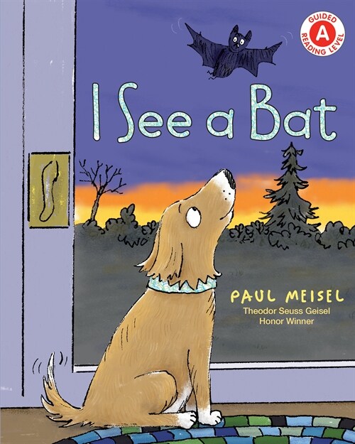 I See a Bat (Paperback)