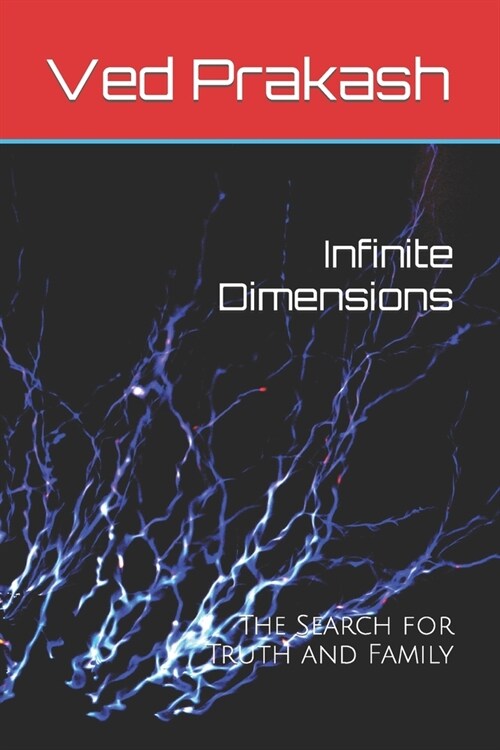 Infinite Dimensions: The Search for Truth and Family (Paperback)