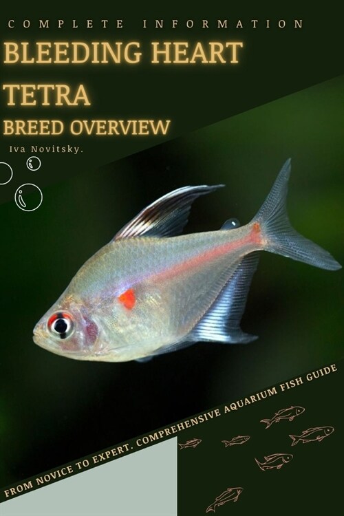 Bleeding Heart Tetra: From Novice to Expert. Comprehensive Aquarium Fish Guide (Paperback)