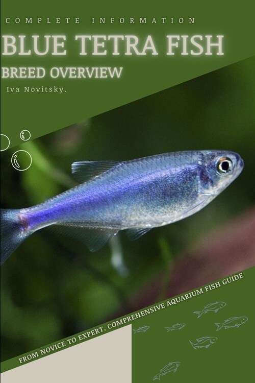 Blue Tetra Fish: From Novice to Expert. Comprehensive Aquarium Fish Guide (Paperback)