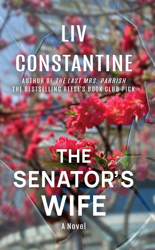 The Senators Wife (Library Binding)