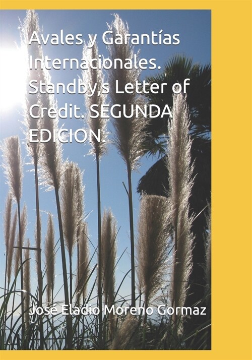 Avales y Garant?s Internacionales. Standby, s Letter of Credit. SEGUNDA EDICION. (Paperback)