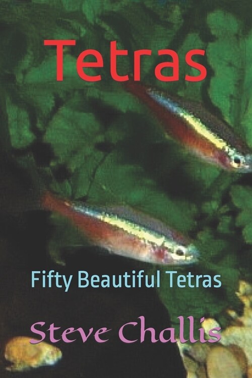 Tetras: Fifty Beautiful Tetras (Paperback)