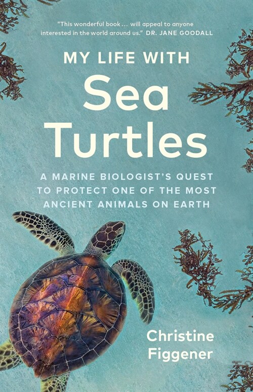 My Life with Sea Turtles: A Marine Biologists Quest to Protect One of the Most Ancient Animals on Earth (Hardcover)