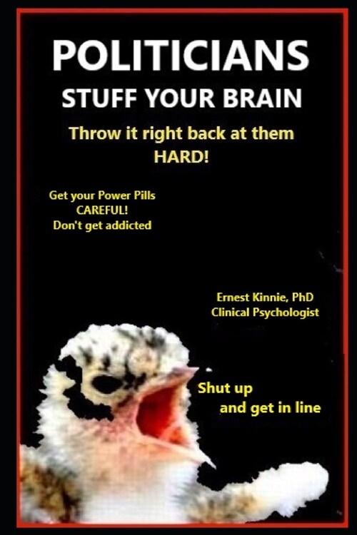 POLITICIANS STUFF YOUR BRAIN learn how they do it: grab your freedom (Paperback)