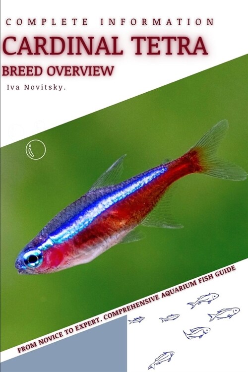 Cardinal Tetra: From Novice to Expert. Comprehensive Aquarium Fish Guide (Paperback)