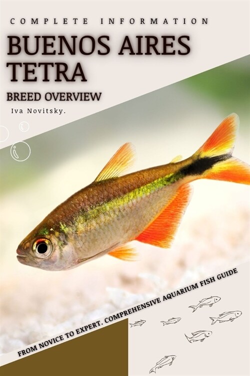 Buenos Aires Tetra: From Novice to Expert. Comprehensive Aquarium Fish Guide (Paperback)