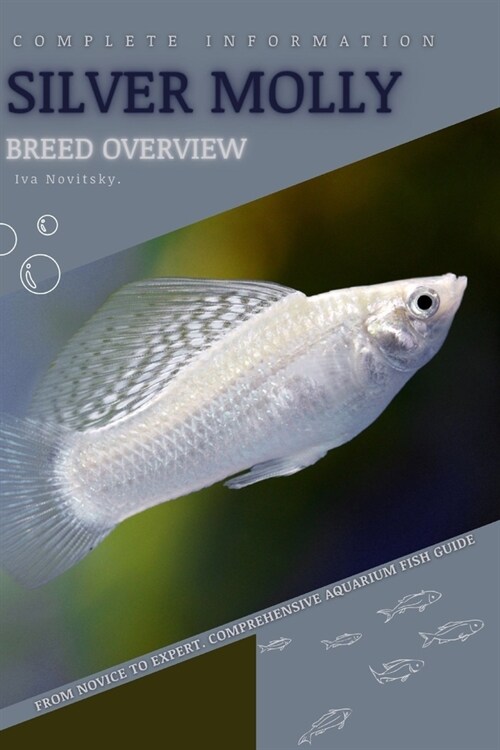 Silver Molly: From Novice to Expert. Comprehensive Aquarium Fish Guide (Paperback)