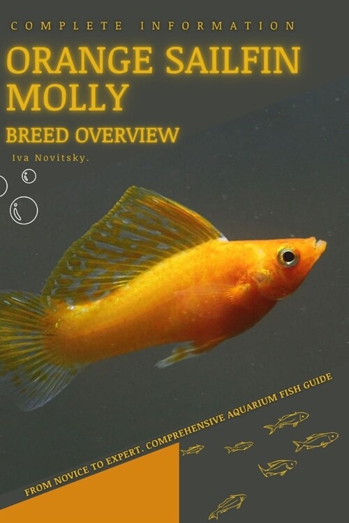 Orange Sailfin Molly: From Novice to Expert. Comprehensive Aquarium Fish Guide (Paperback)