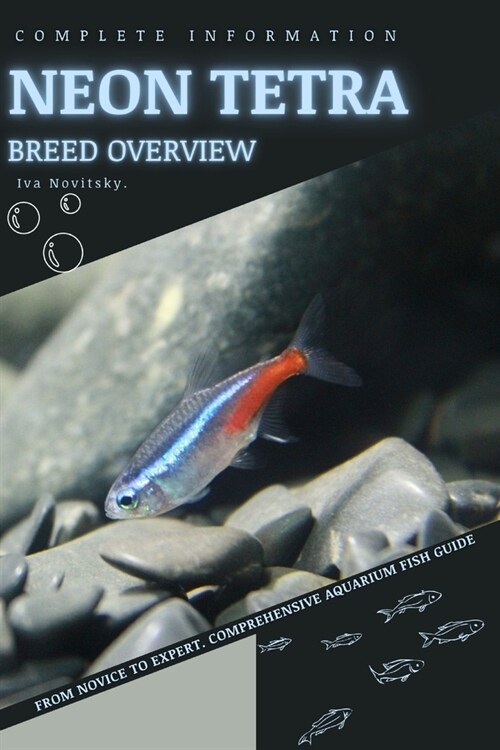Neon Tetra: From Novice to Expert. Comprehensive Aquarium Fish Guide (Paperback)