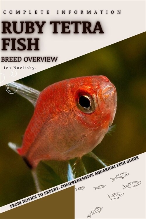 Ruby Tetra Fish: From Novice to Expert. Comprehensive Aquarium Fish Guide (Paperback)