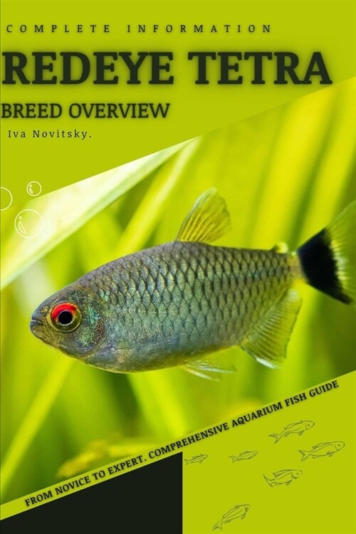 Redeye Tetra: From Novice to Expert. Comprehensive Aquarium Fish Guide (Paperback)